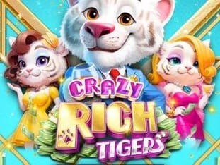 Crazy Rich Tigers game cover